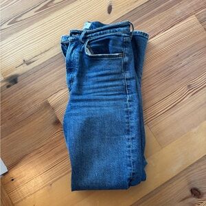 Agolde Deep Blue Skinny Jeans